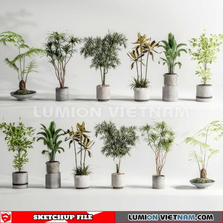 Plant Pots Sketchup D Models