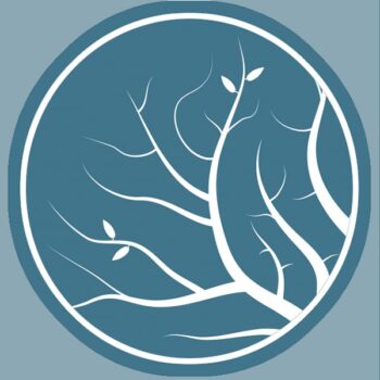 lumion logo 2019