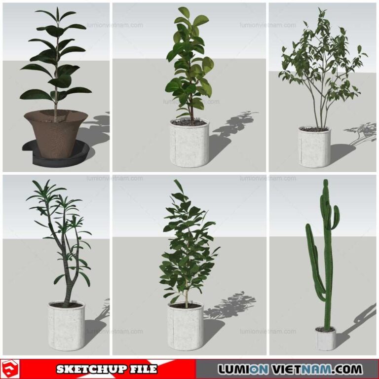 Plant Pots - Sketchup Models