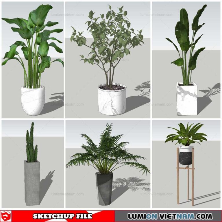 Plant Pots - Sketchup Models By Nha Tay