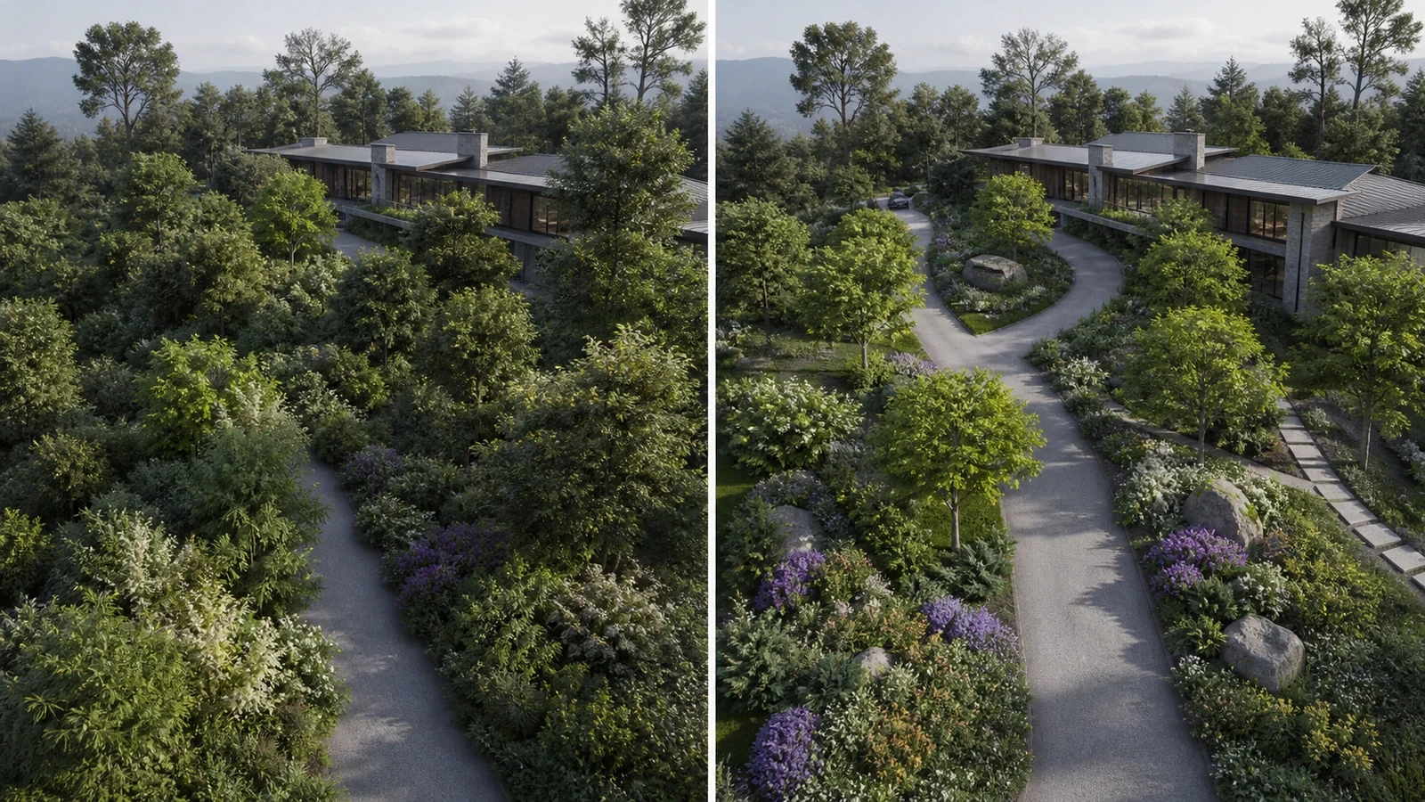 Before-and-after architectural landscape showing dense clutter and a controlled layered planting layout