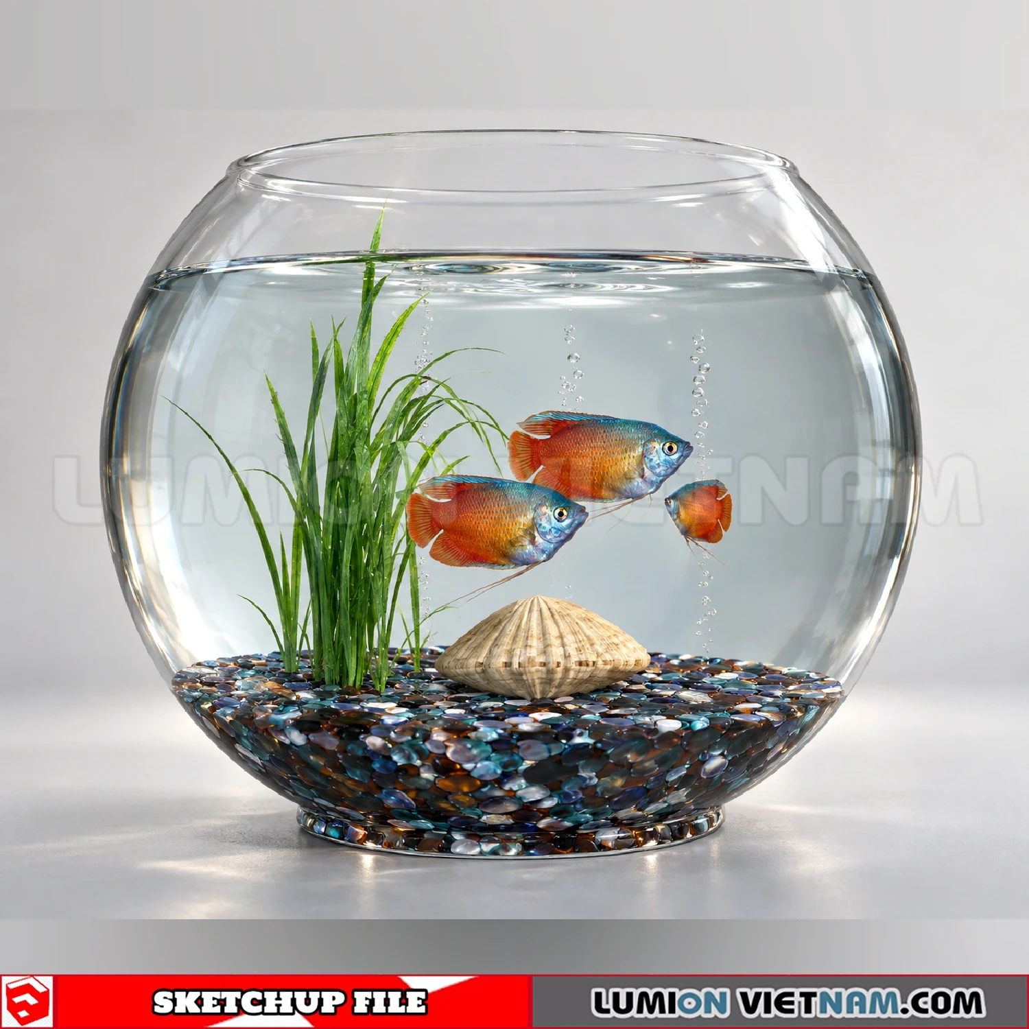260929-aquarium-and-fish-tank-81-sketchup-models