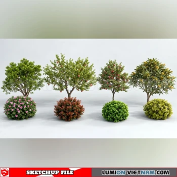 261008 Fruit Tree 1 Sketchup Model