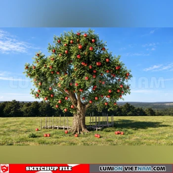 261008 Fruit Tree 10 Sketchup Model