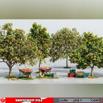261008 Fruit Tree 12 Sketchup Model