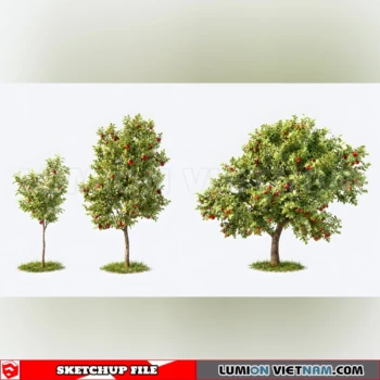 261008 Fruit Tree 13 Sketchup Model