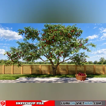 261008 Fruit Tree 14 Sketchup Model