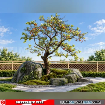 261008 Fruit Tree 16 Sketchup Model