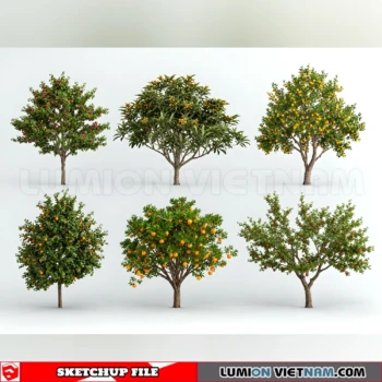 261008 Fruit Tree 17 Sketchup Model