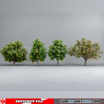 261008 Fruit Tree 21 Sketchup Model