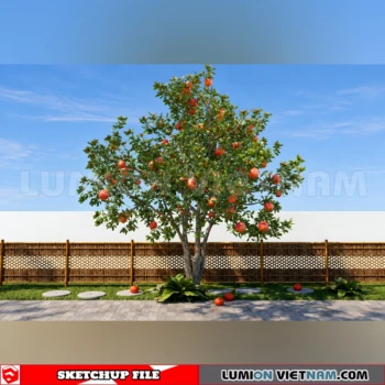 261008 Fruit Tree 22 Sketchup Model