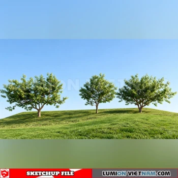 261008 Fruit Tree 25 Sketchup Model
