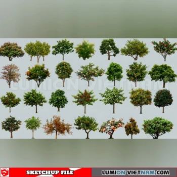 261008 Fruit Tree 26 Sketchup Model