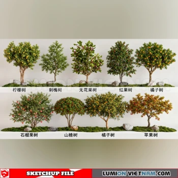 261008 Fruit Tree 30 Sketchup Model