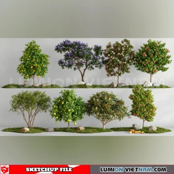 261008 Fruit Tree 33 Sketchup Model