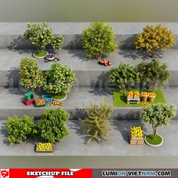 261008 Fruit Tree 34 Sketchup Model