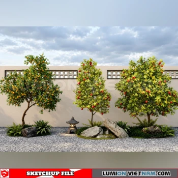 261008 Fruit Tree 38 Sketchup Model