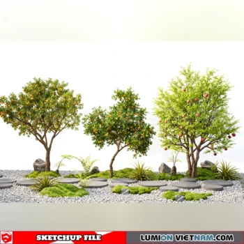 261008 Fruit Tree 40 Sketchup Model