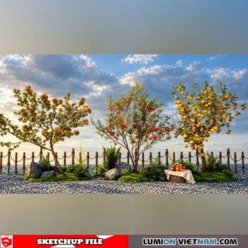 261008 Fruit Tree 41 Sketchup Model