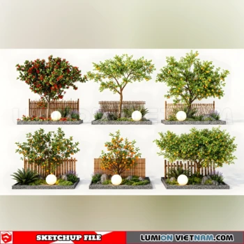 261008 Fruit Tree 42 Sketchup Model