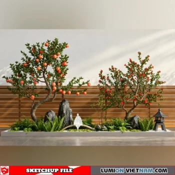 261008 Fruit Tree 43 Sketchup Model