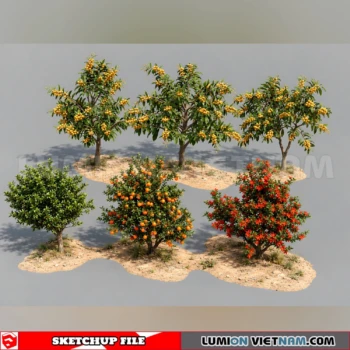 261008 Fruit Tree 44 Sketchup Model