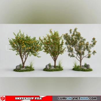 261008 Fruit Tree 45 Sketchup Model