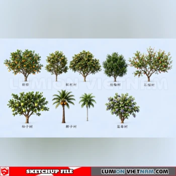 261008 Fruit Tree 5 Sketchup Model