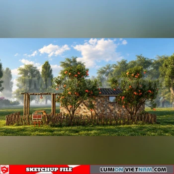 261008 Fruit Tree 7 Sketchup Model