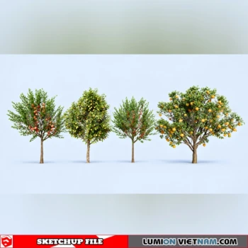 261008 Fruit Tree 9 Sketchup Model