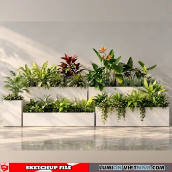 261021 Garden Landscape Planting 52 Sketchup Model